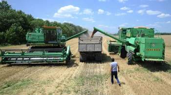 В Ростовской области в агрооборот вовлечено 99,9% сельхозземель