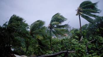 В Гваделупе из-за урагана ввели режим стихийного бедствия