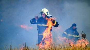 В Омской области полдеревни сгорело из-за лесного пожара