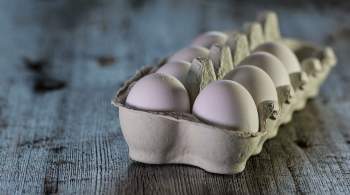 Россия запретила ввоз яиц и птицы из четырех штатов США