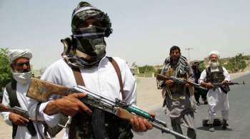 В ООН заявили, что Афганистан приближается к гуманитарной катастрофе