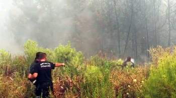 В Турции рассказали о тушении лесных пожаров