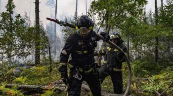 В России за сутки потушили 80 природных пожаров
