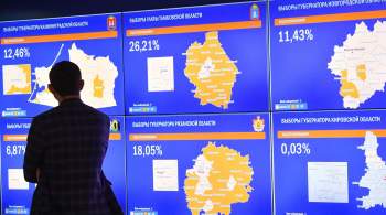 Наблюдатели не выявили крупных нарушений на российских выборах
