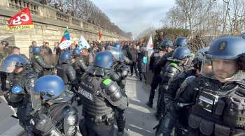 Жандармы во Франции подали жалобу на насилие после экологического митинга