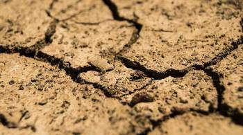Власти Сомалиленда объявили ЧС из-за засухи
