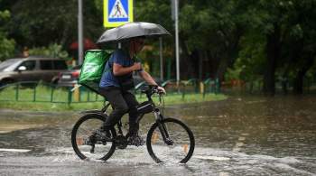 Ученый объяснил, почему не стоит гулять под дождем в Москве