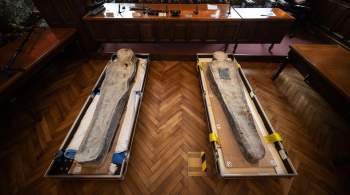 Ученые установили, кто похоронен в саркофаге под Нотр-Дамом