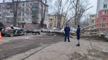 Власти Новокузнецка заявили о небывалом урагане с 1978 года 