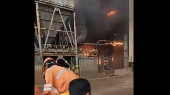 СМИ: в Индонезии 12 человек погибли при взрыве на заводе 