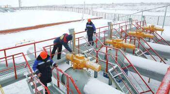 Добыча газа в России по итогам года вырастет на десять процентов