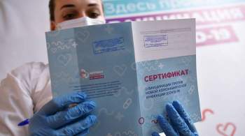 В Москве заблокировали более 800 сайтов с фальшивыми COVID-сертификатами
