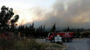 В Анталье лесной пожар угрожает жилым домам, людей срочно эвакуируют 