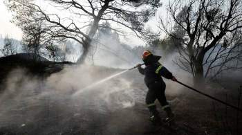 На севере Афин бушует новый лесной пожар