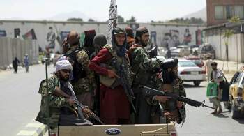  Талибан * заявил о необходимости принять новую конституцию Афганистана