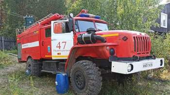 Число природных пожаров в Свердловской области выросло до 60