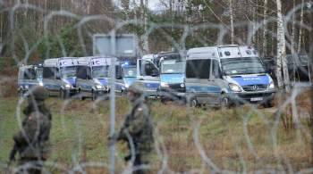 В Польше призвали ввести санкции против причастных к ситуации с мигрантами