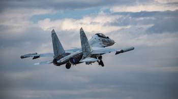  Самый боеспособный : в США забили тревогу из-за российского истребителя 