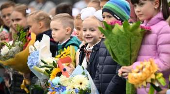 Россия перед 1 сентября импортировала цветов почти на 46 миллионов долларов 