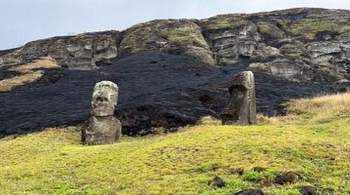 Каменные идолы на острове Пасхи пострадали из-за пожара