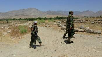 Афганская провинция Джаузджан перешла под контроль талибов