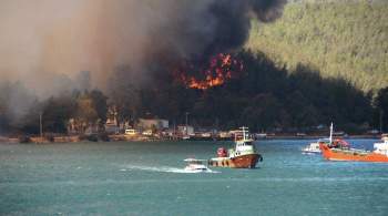Мэр Бодрума подтвердил эвакуацию из-за лесных пожаров трех отелей