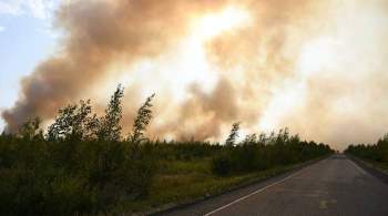 Путин поручил выделить дополнительные средства на борьбу с лесными пожарами