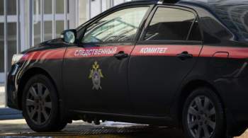 В Воронеже задержали обвиняемого в убийстве 17-летней девушки 