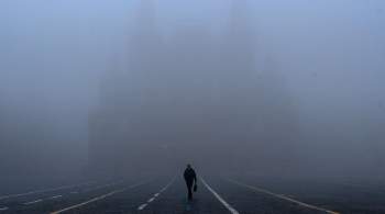 Москвичей предупредили, что густой туман сохранится до утра