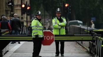 На акции протеста в Лондоне пострадал полицейский