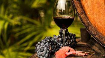 Совфед разрешил проводить специализированные винодельческие ярмарки
