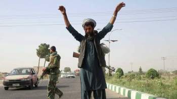 Талибы заявили, что будут бороться с контрабандой наркотиков