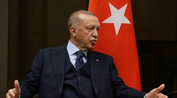 Эрдоган жестко высказался о координаторе США по Ближнему Востоку