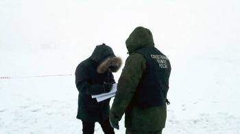 В Якутии после гибели женщины от нападения собак предложили изменить закон