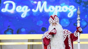 Исследование показало, как выросла зарплата у Деда Мороза в России 