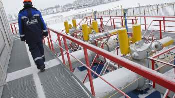 В МИД России заявили, что готовы к сотрудничеству в газовой энергетике 