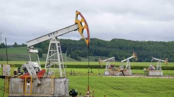 Минприроды сообщило, что запасы нефти снизились на треть за 10 лет