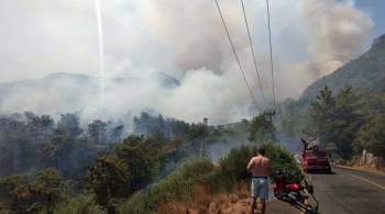 Около 80 населенных пунктов на юге Турции пострадали от лесных пожаров