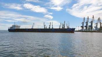 В Запорожской области заявили, что в Турции не задерживали судно с зерном