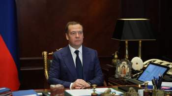 Медведев призвал создать  санитарную зону  у границ России