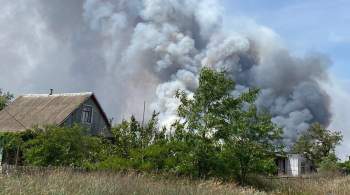 В Херсонской области из-за обстрела ВСУ загорелся заповедный лес