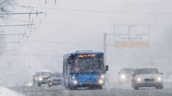 Московский транспорт работает в штатном режиме, несмотря на морозы
