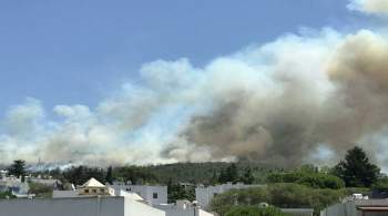 Пожар в районе турецкого Бодрума взяли под контроль
