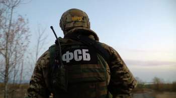 Жителя Курской области задержали за подготовку теракта 