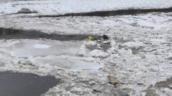 Брянские спасатели вытащили из реки двух попавших под лед байдарочников 