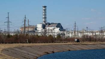 Ученый оценил сообщения о новых ядерных реакциях в Чернобыле