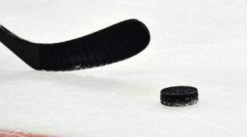 НХЛ проведет новые конкурсы мастерства перед Матчем всех звезд в Лас-Вегасе