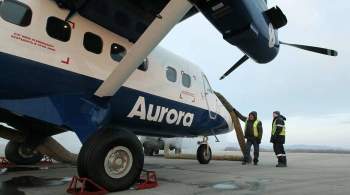 В аэропорту Владивостока самолет сбил лису