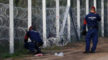 СМИ: в перестрелке группы людей на границе Венгрии и Сербии погиб человек
