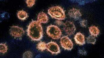 Китай назвал доклад разведки США о происхождении коронавируса ненаучным